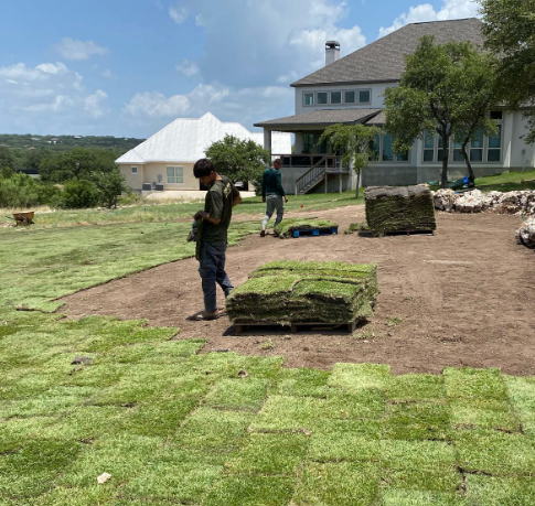two workers laying sod in a yard near a house