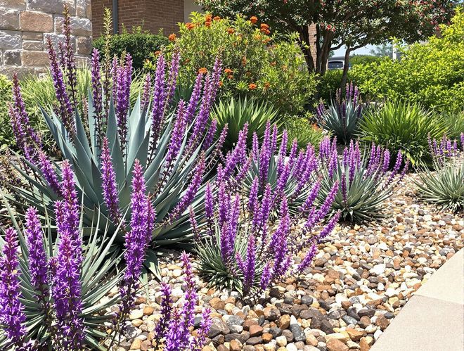 Ground Control Custom Landscaping & Irrigation