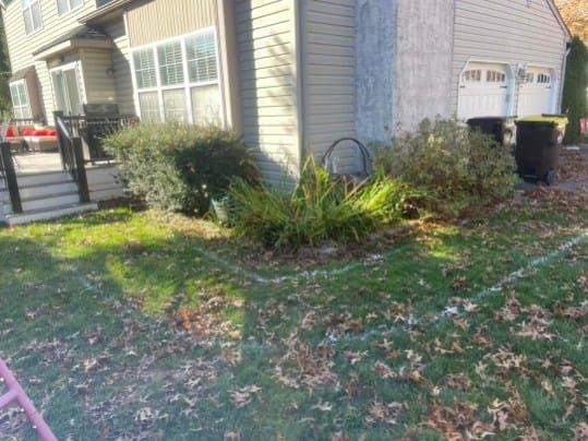 Green grass with leaves, bushes, and a house; lawn outlined with white.