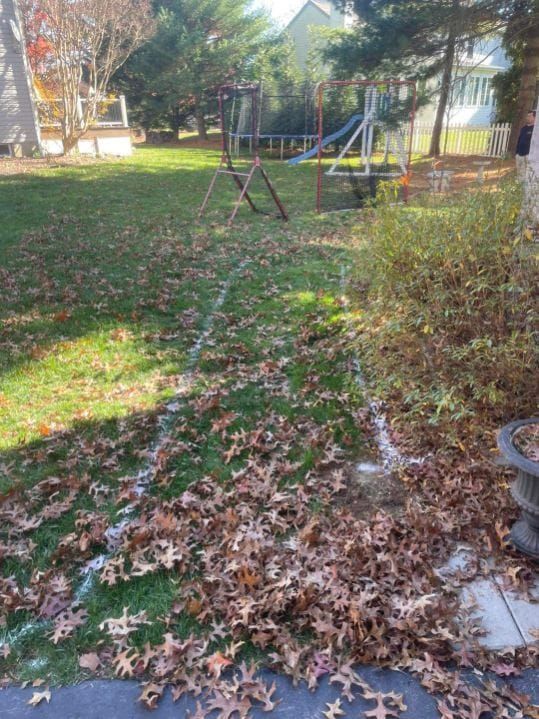 Backyard with fallen leaves, lines drawn on the grass, and a playground in the background.