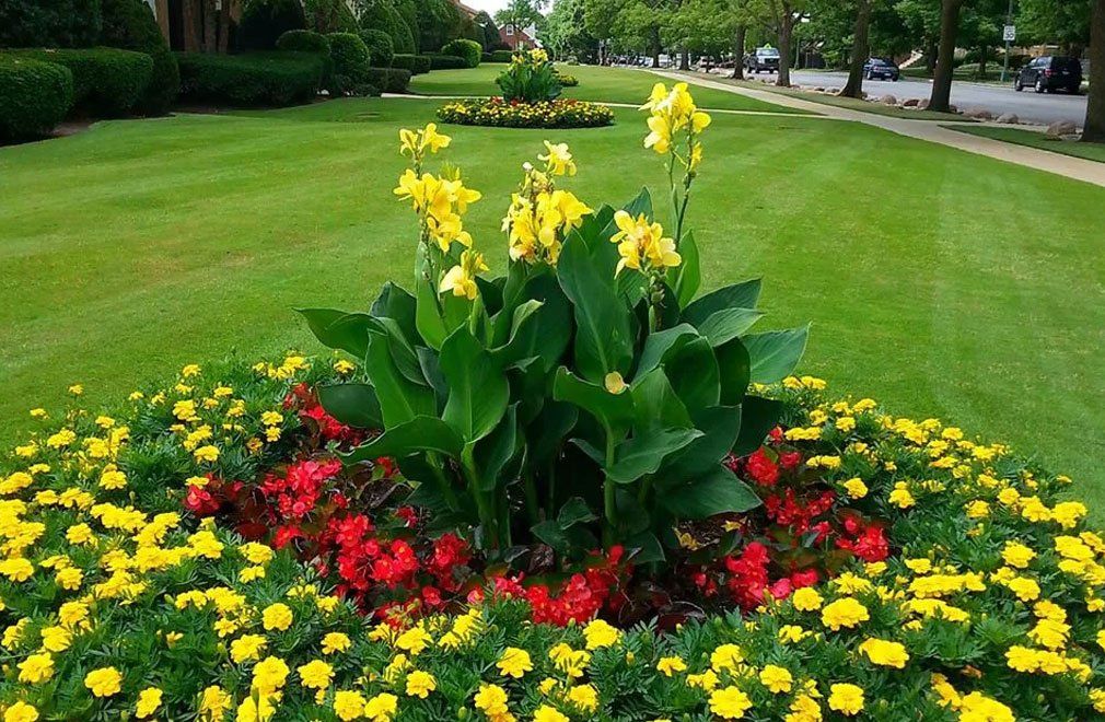 Lawn care