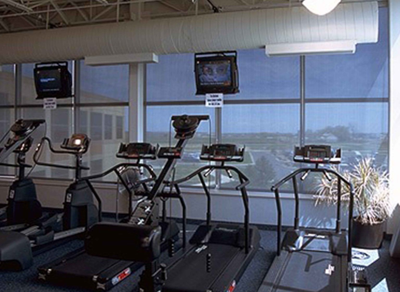A row of treadmills in a gym with a window