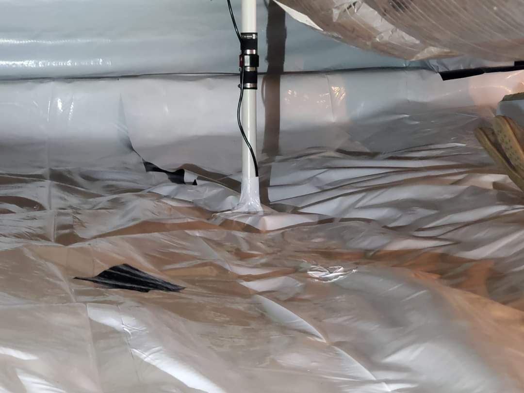 crawlspace encapsulation