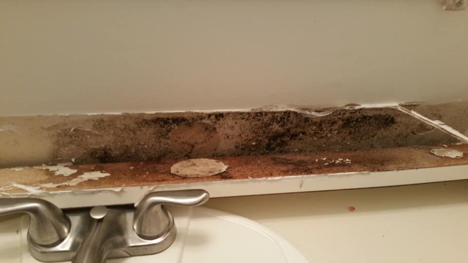 mold