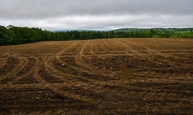 Freshly plowed brown field under cloudy sky, bordered by green trees and distant hills
