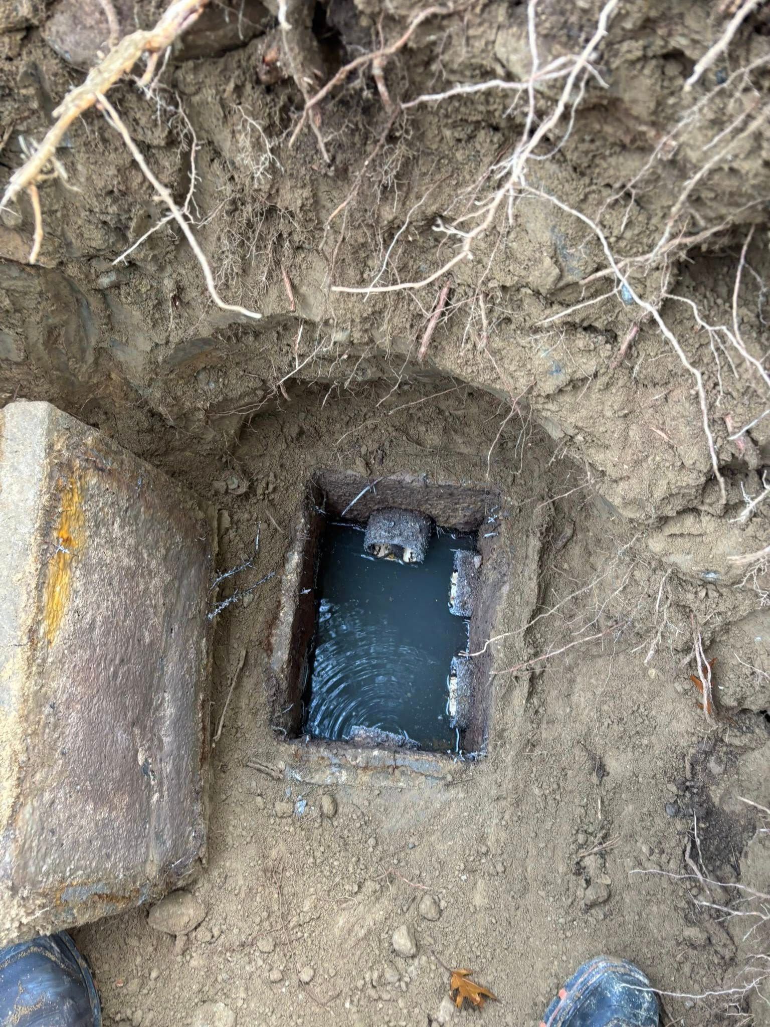 Small rectangular water-filled hole dug in soil beside exposed tree roots and a concrete block