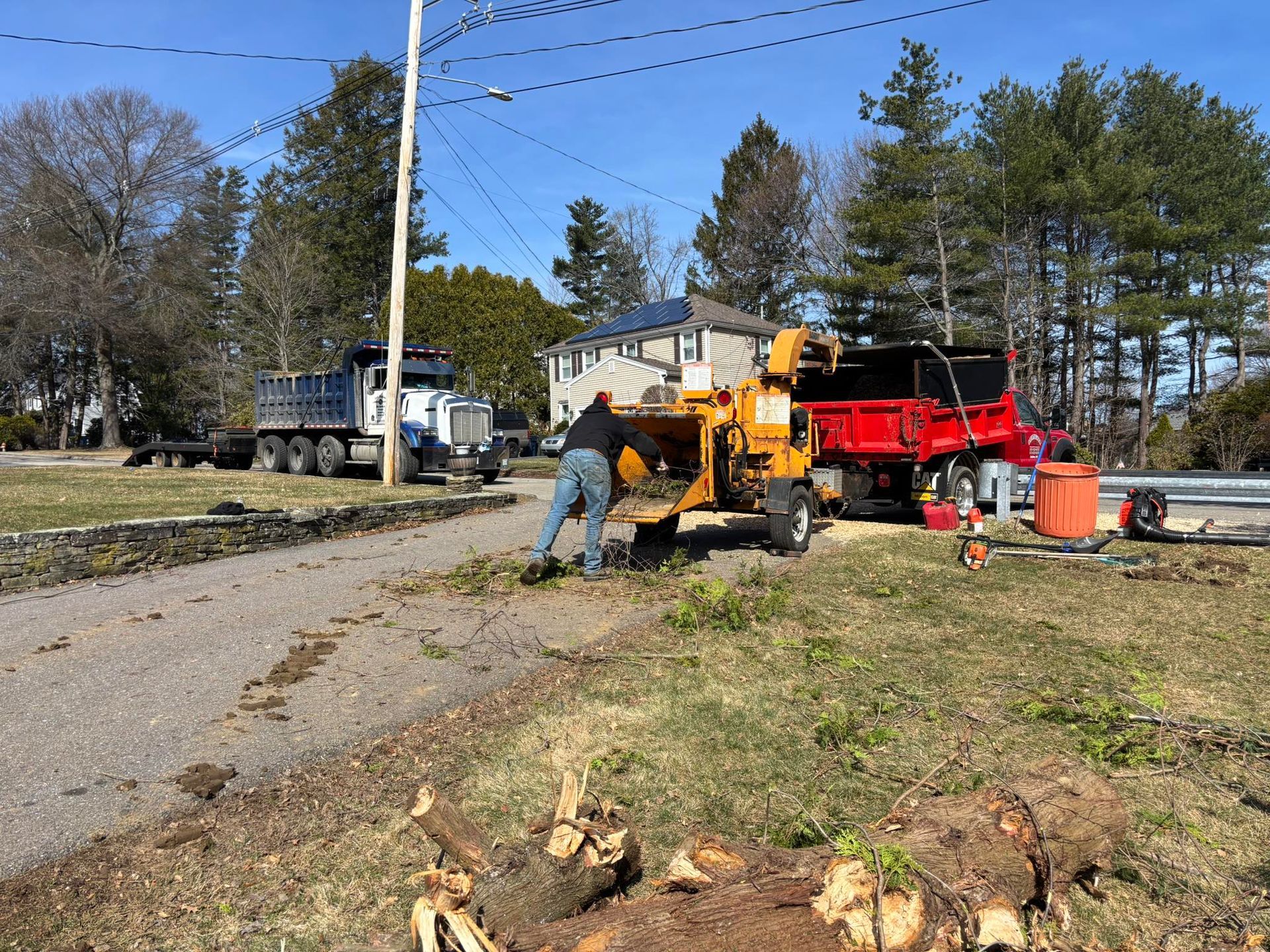 Tree removal work with a red chipper, orange equipment, and a worker in a grassy yard near a road.