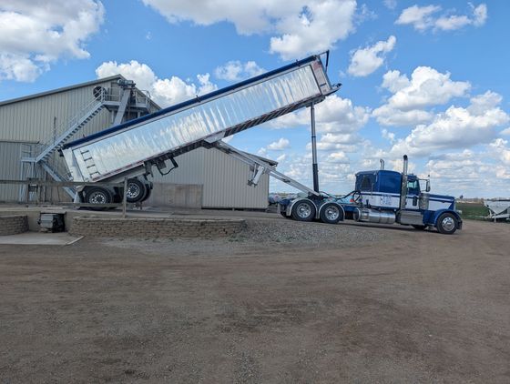 Blue semi-truck dumping grain from a raised trailer beside a metal grain facility under a partly cloudy sky