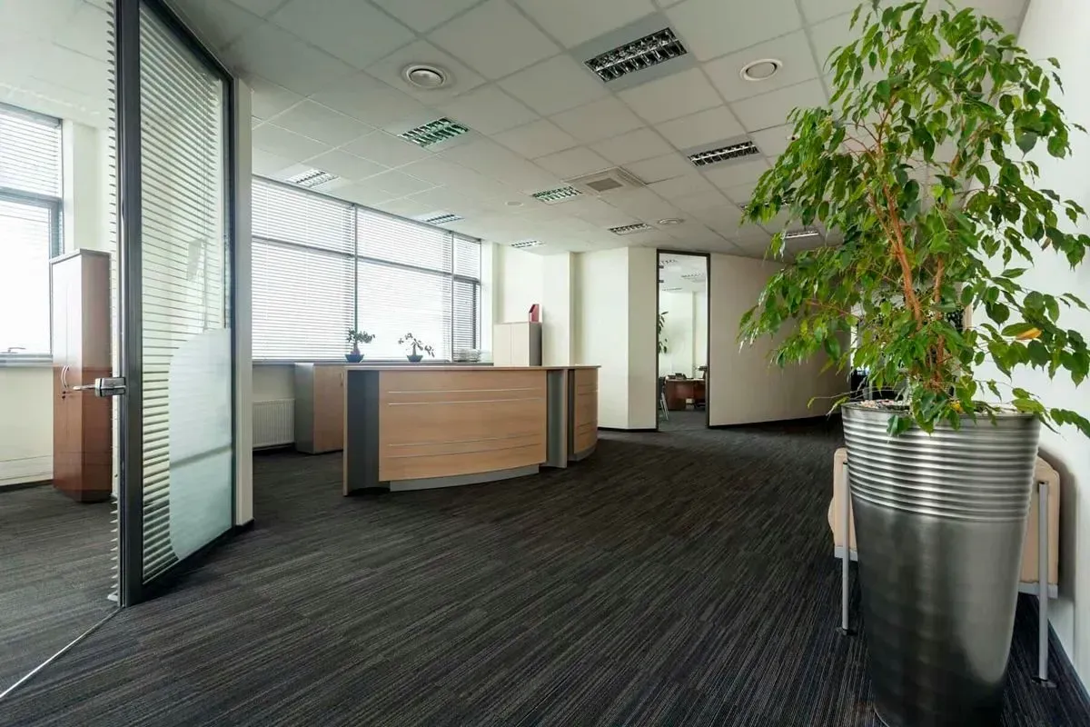Empty office interior with dark carpet, large windows, and a tall potted plant.