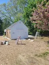 White shed being painted, two ladders on the ground. Pink flowering tree and trees in the background.