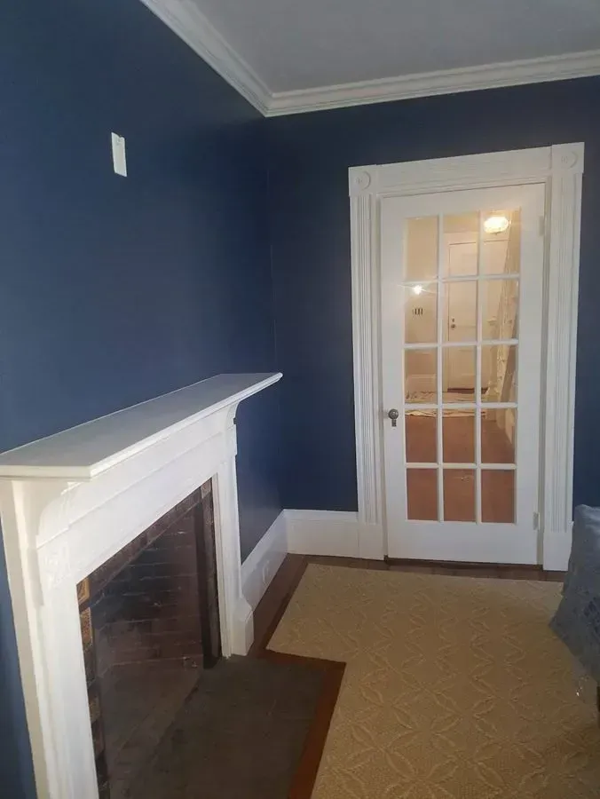 Room with navy walls, white trim, fireplace, and glass-paneled door leading to a hallway.