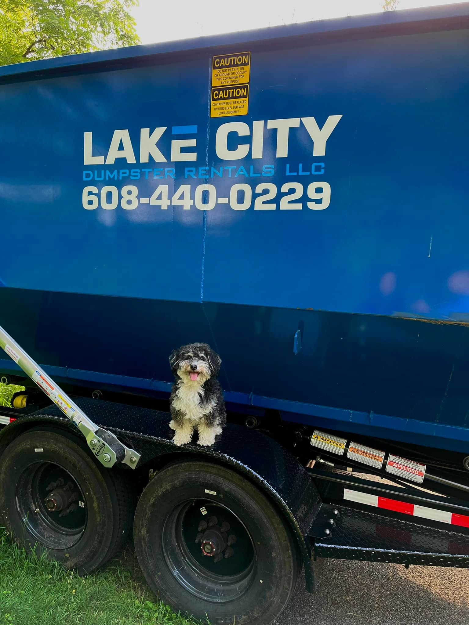Dumpster with a dog 