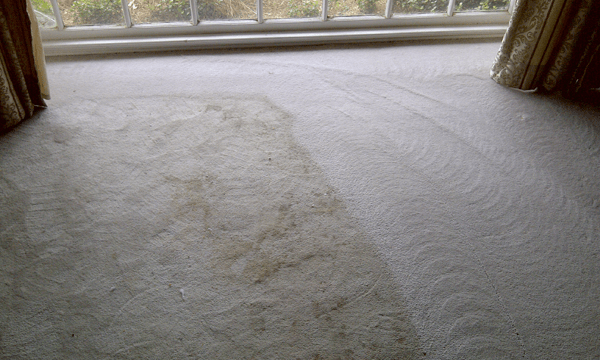 Carpet cleaning
