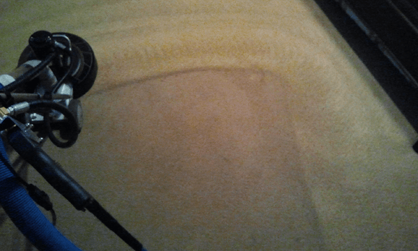 Carpet cleaning