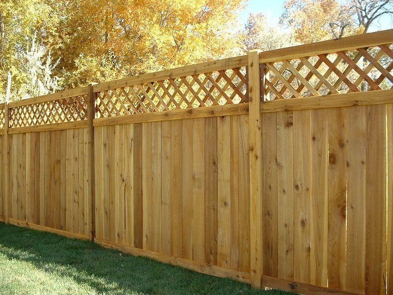 Wooden privacy fence with lattice top, standing on green grass, trees in the background.