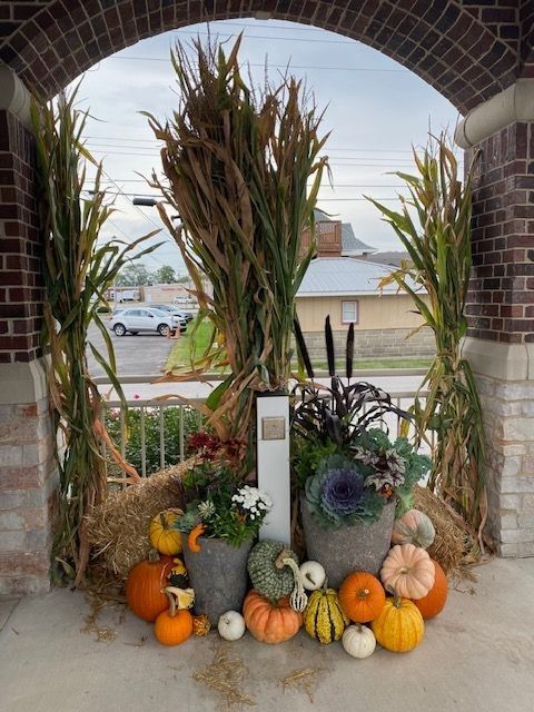 Fall display with pumpkins, gourds, corn stalks, and potted plants under an arched doorway.