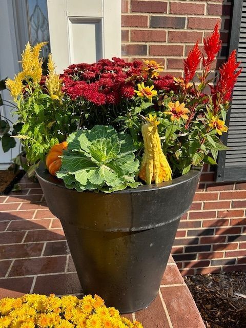 Black pot with fall flowers, gourds, and cabbage on a brick porch.