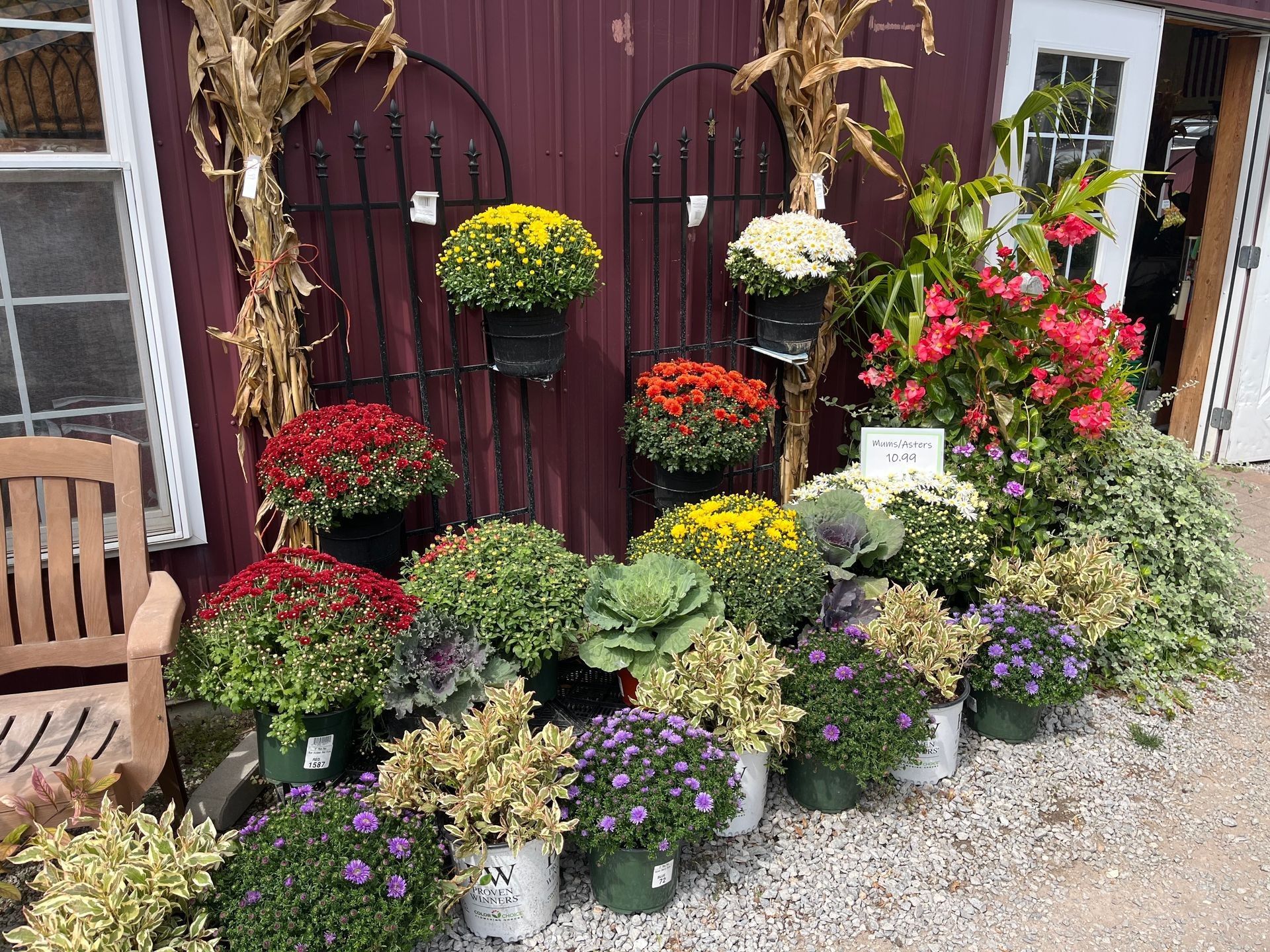 Colorful potted mums and fall foliage display outside a red-walled building.