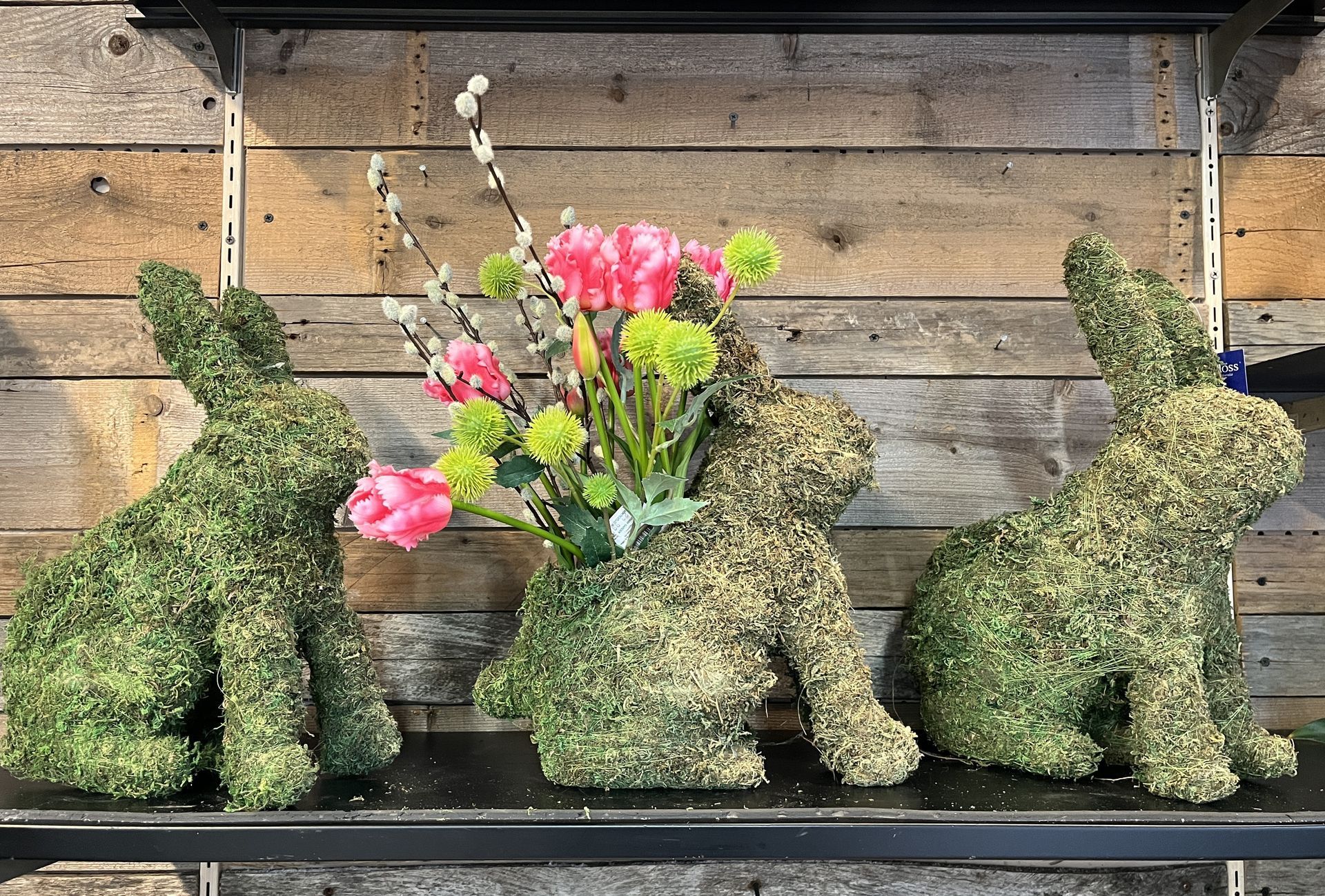 Three moss-covered rabbit figurines. The center one holds flowers. They sit on a shelf against a wooden background.