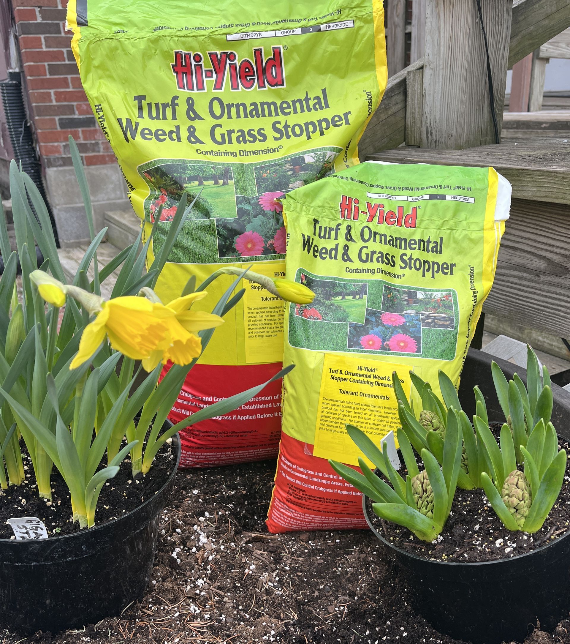 Two bags of Hi-Yield weed stopper, potted plants with yellow daffodils and green leaves.