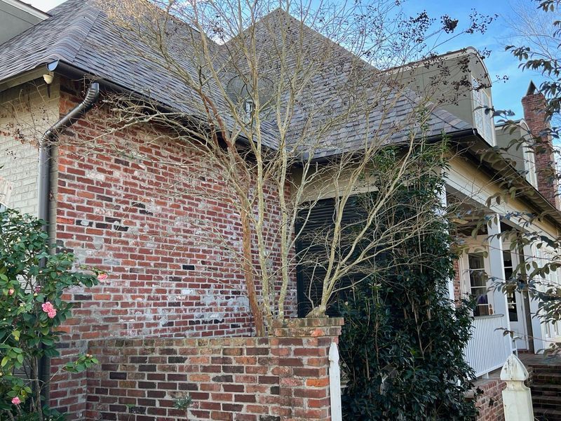Brick building with a tree growing up the side, roof with wooden shingles, and a white porch.
