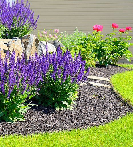 Landscape design