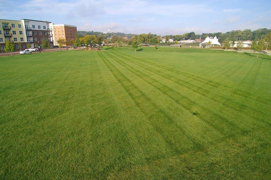 Commercial lawn