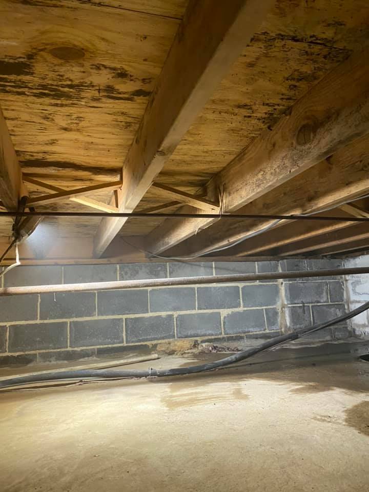 A basement with a wooden ceiling and a brick wall.