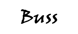 Buss