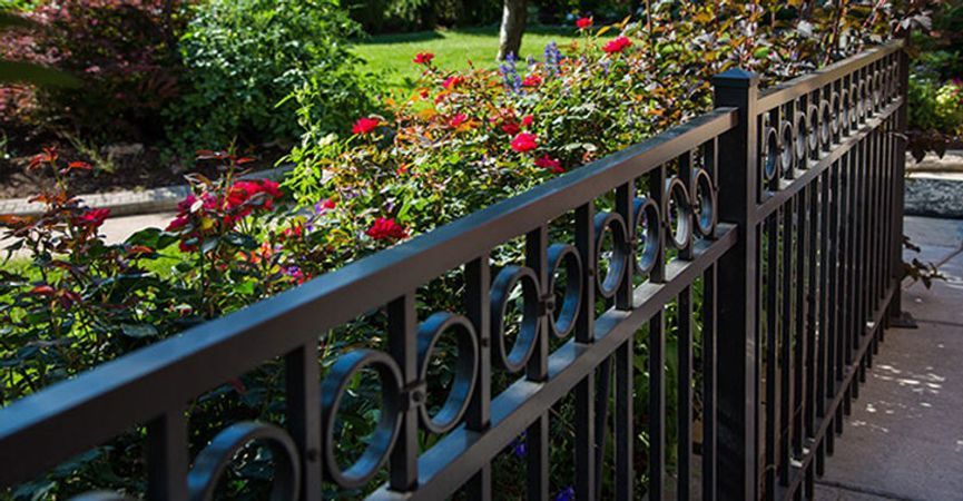 A black wrought iron fence surrounds a garden with red roses