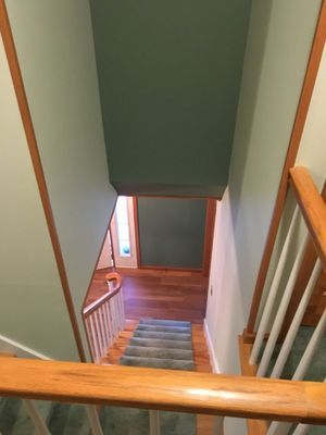 View from top of staircase; green walls, wooden handrails, carpeted stairs lead down to a door.