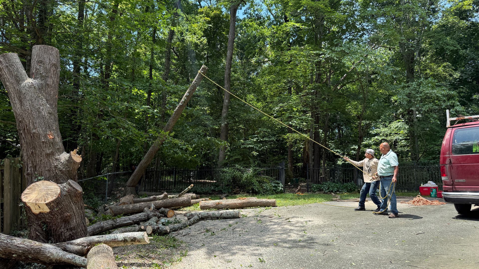 A couple of men are standing in a parking lot next to a fallen tree.