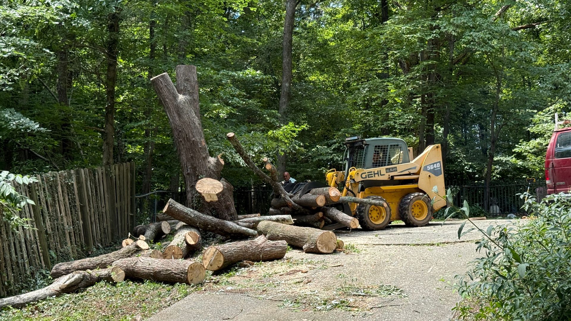 A bulldozer is cutting down a tree in the woods.