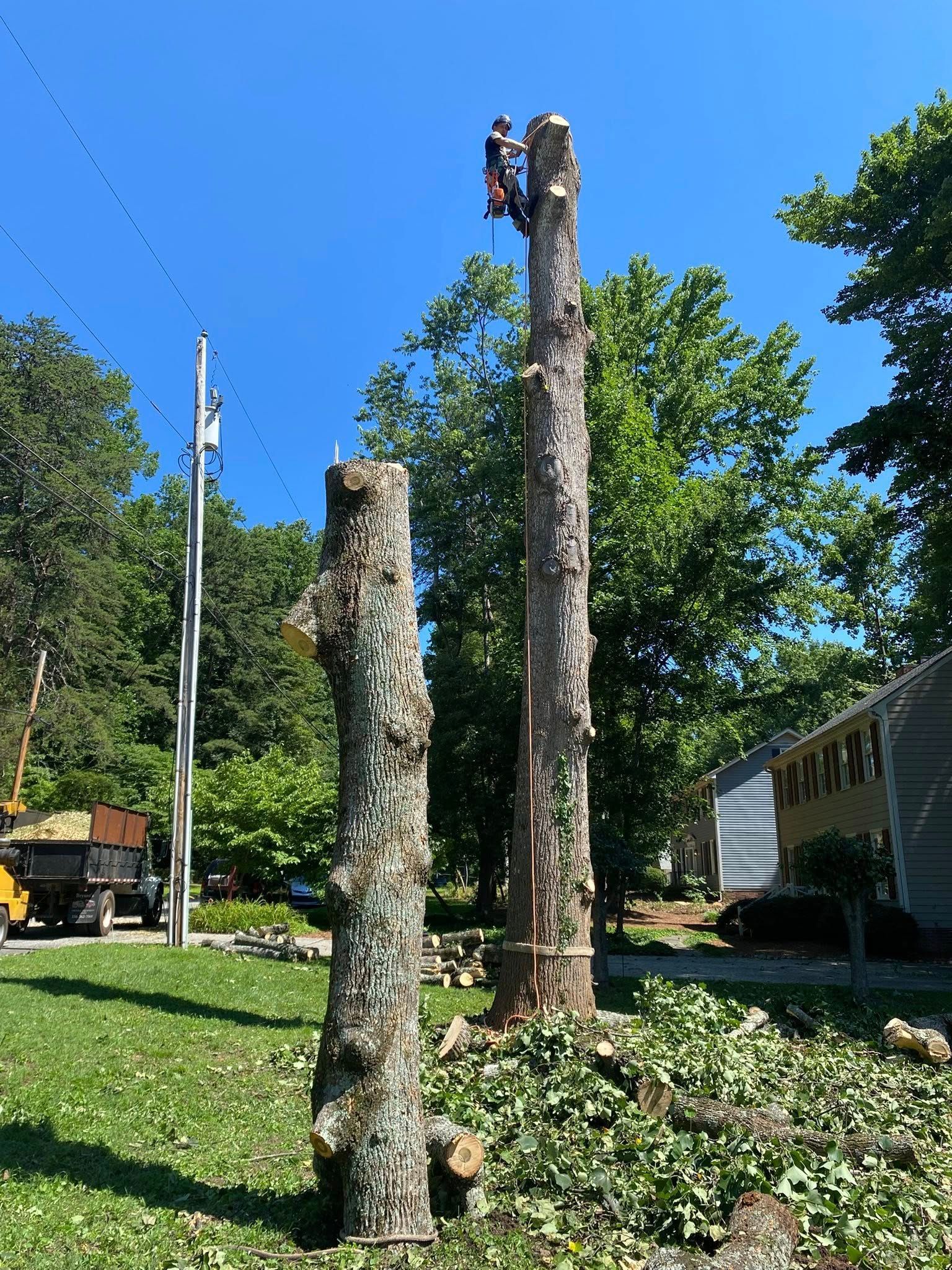 A man is climbing a tree stump in a yard.