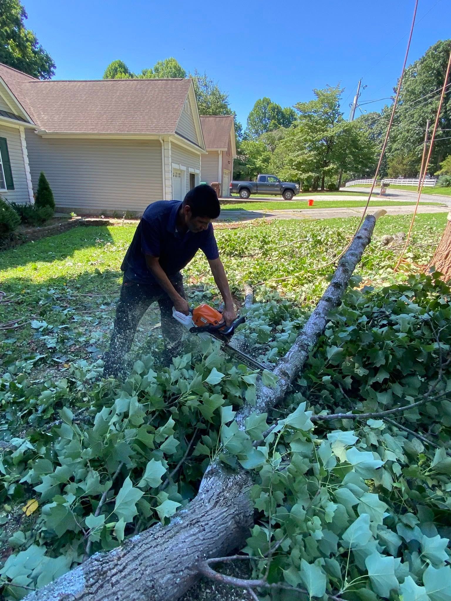 A man is cutting a tree with a chainsaw in front of a house.