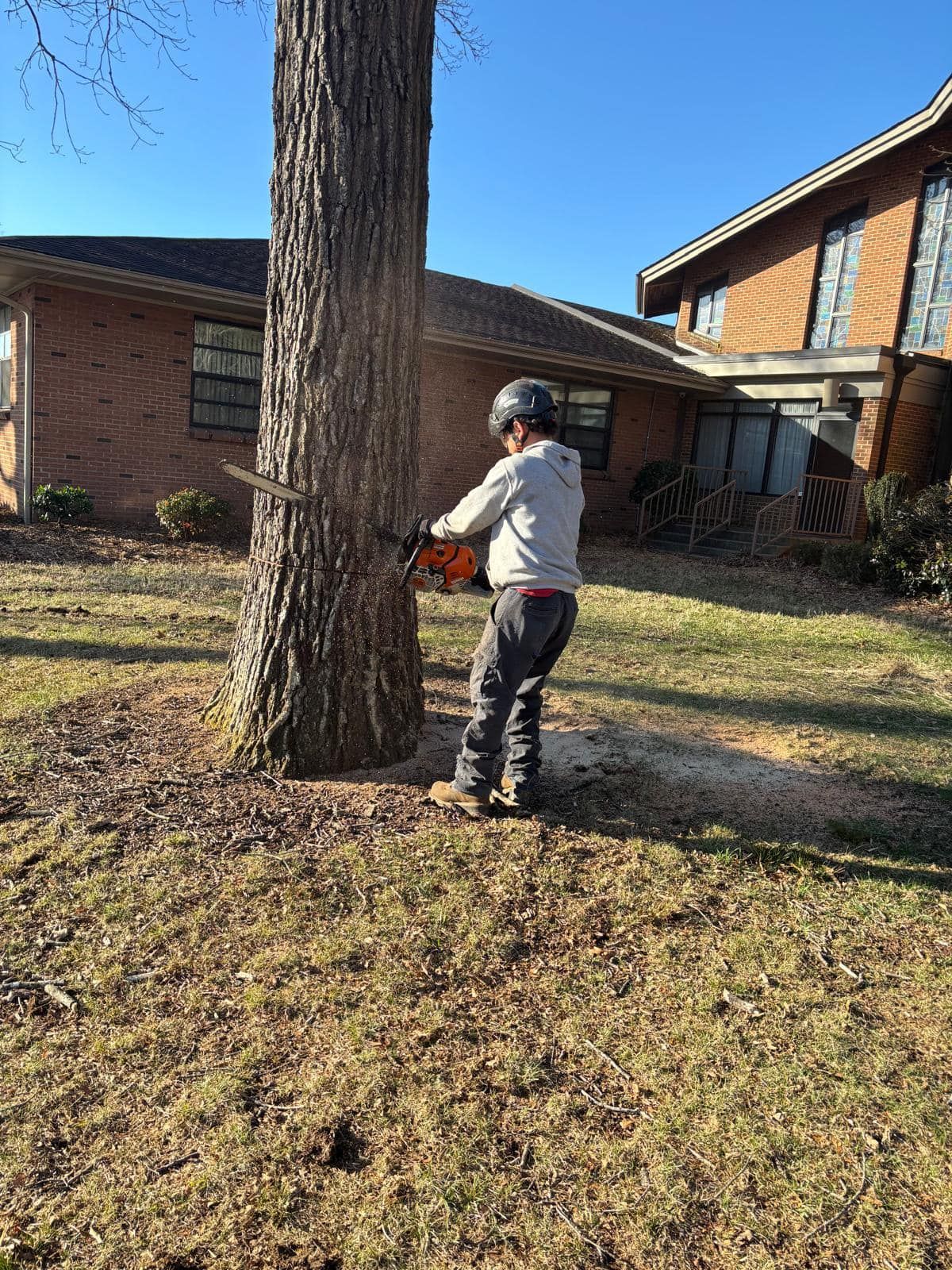 A man is cutting a tree with a chainsaw in front of a house.