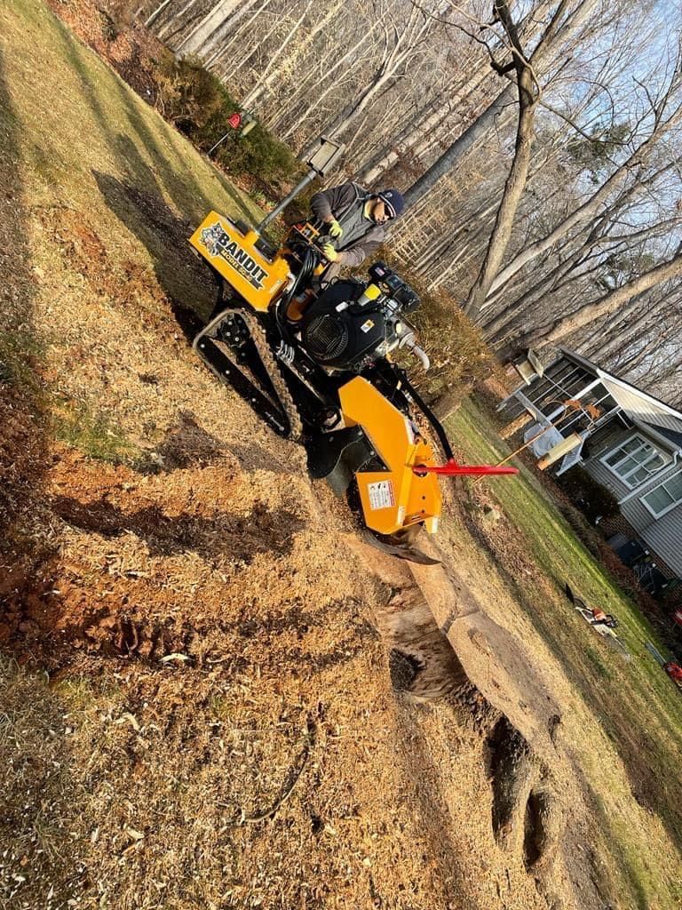 Ventura Tree Services