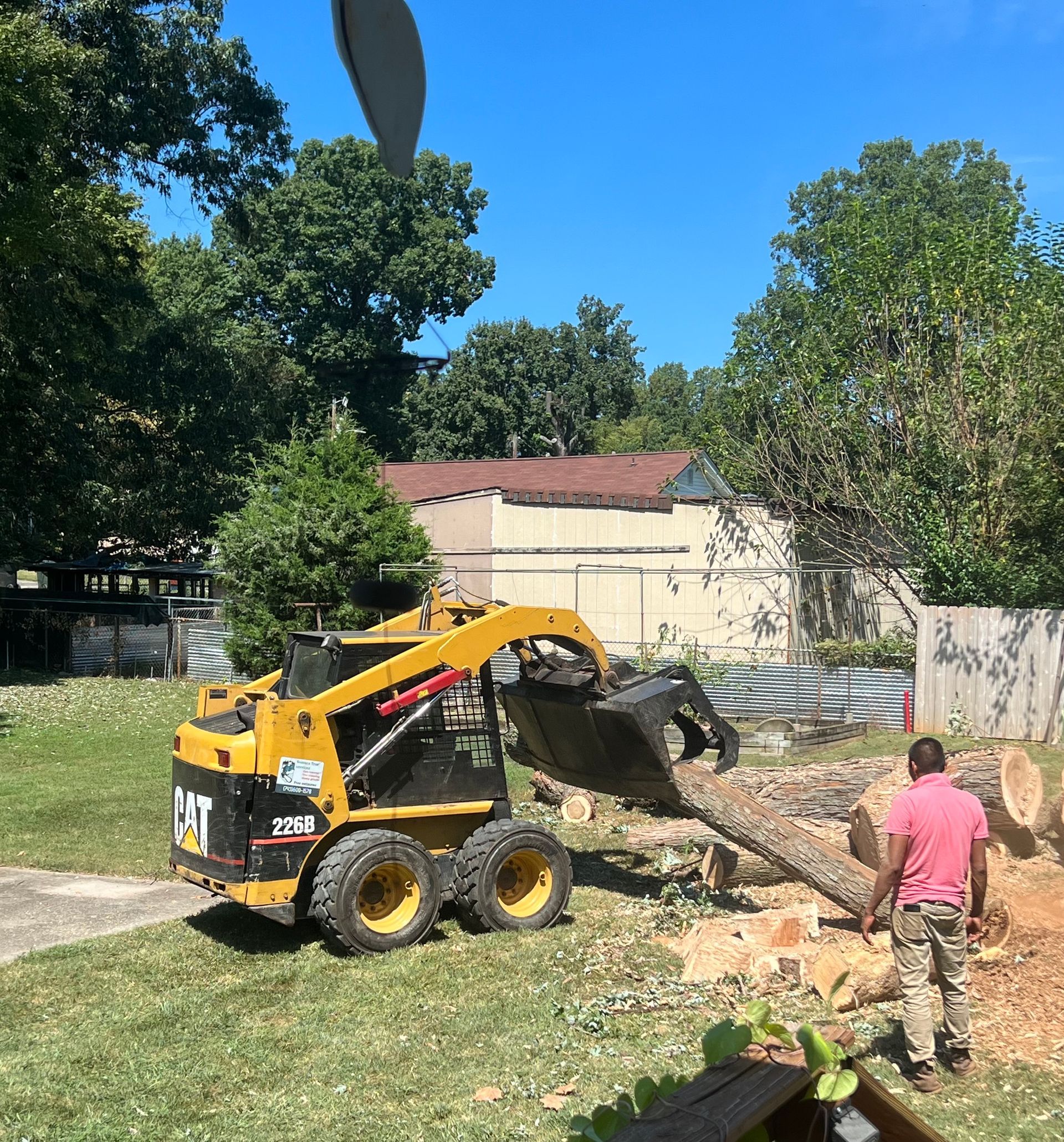 Ventura Tree Services