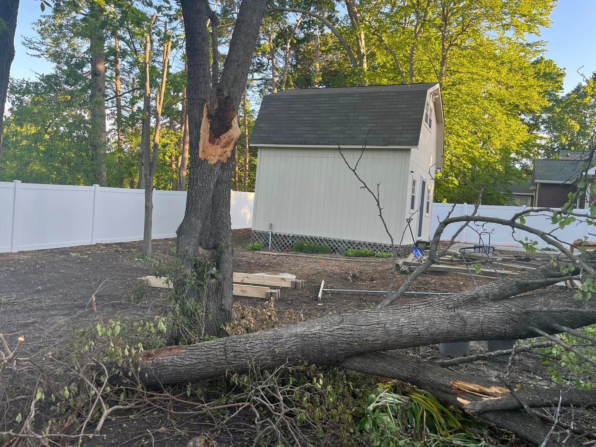 Ventura Tree Services