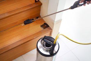 Learn more about Residential Pest Control Pest Service