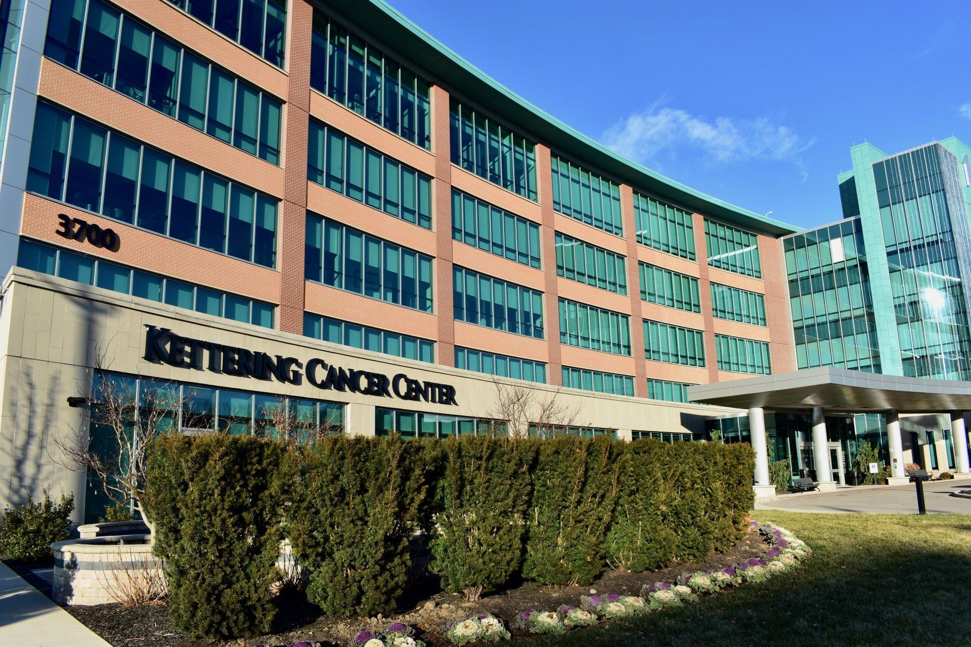 Medical facility painting