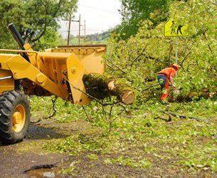 Storm damage repairs and cleanup