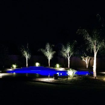 Pool illuminated in blue with palm trees lit at night.