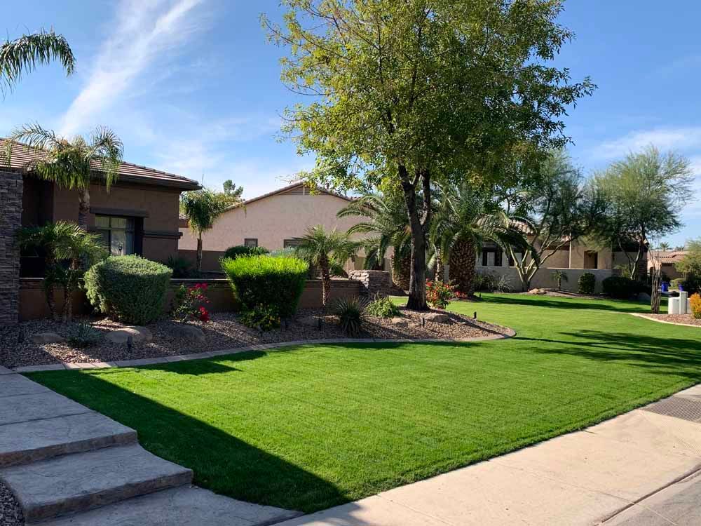 A lush green lawn in front of a house with palm trees.