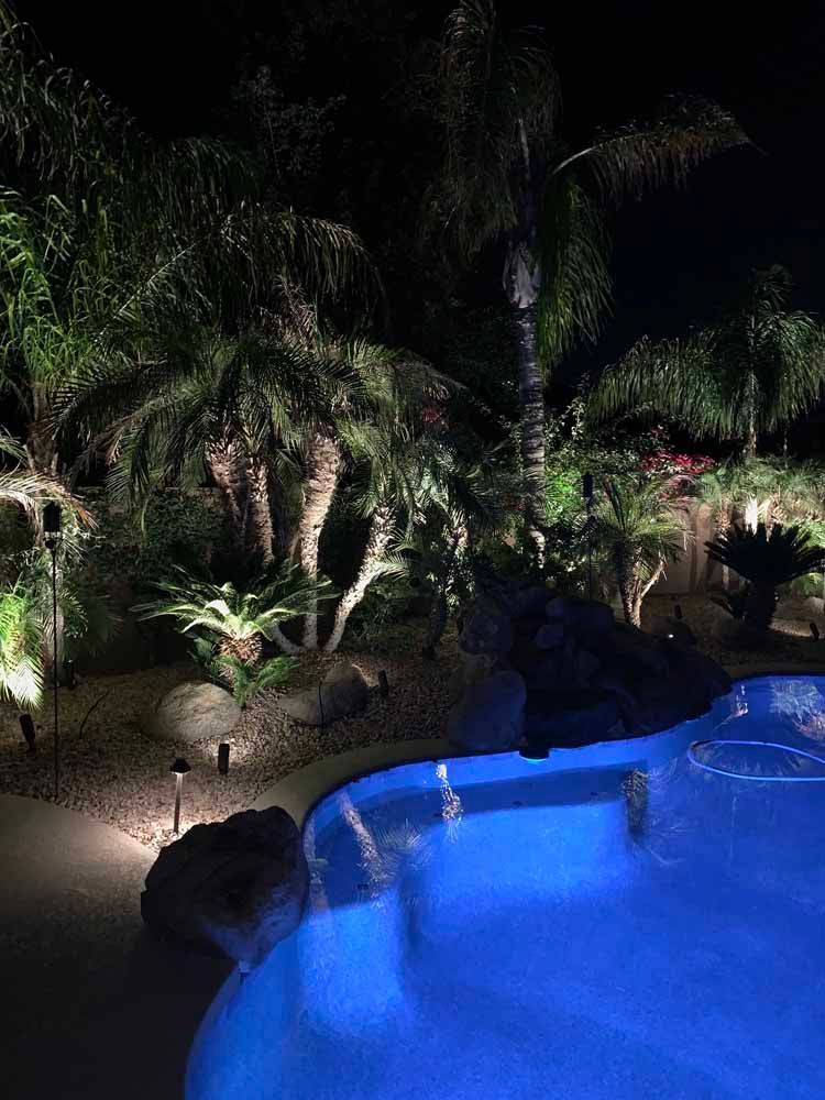 A large swimming pool is lit up at night with palm trees in the background.