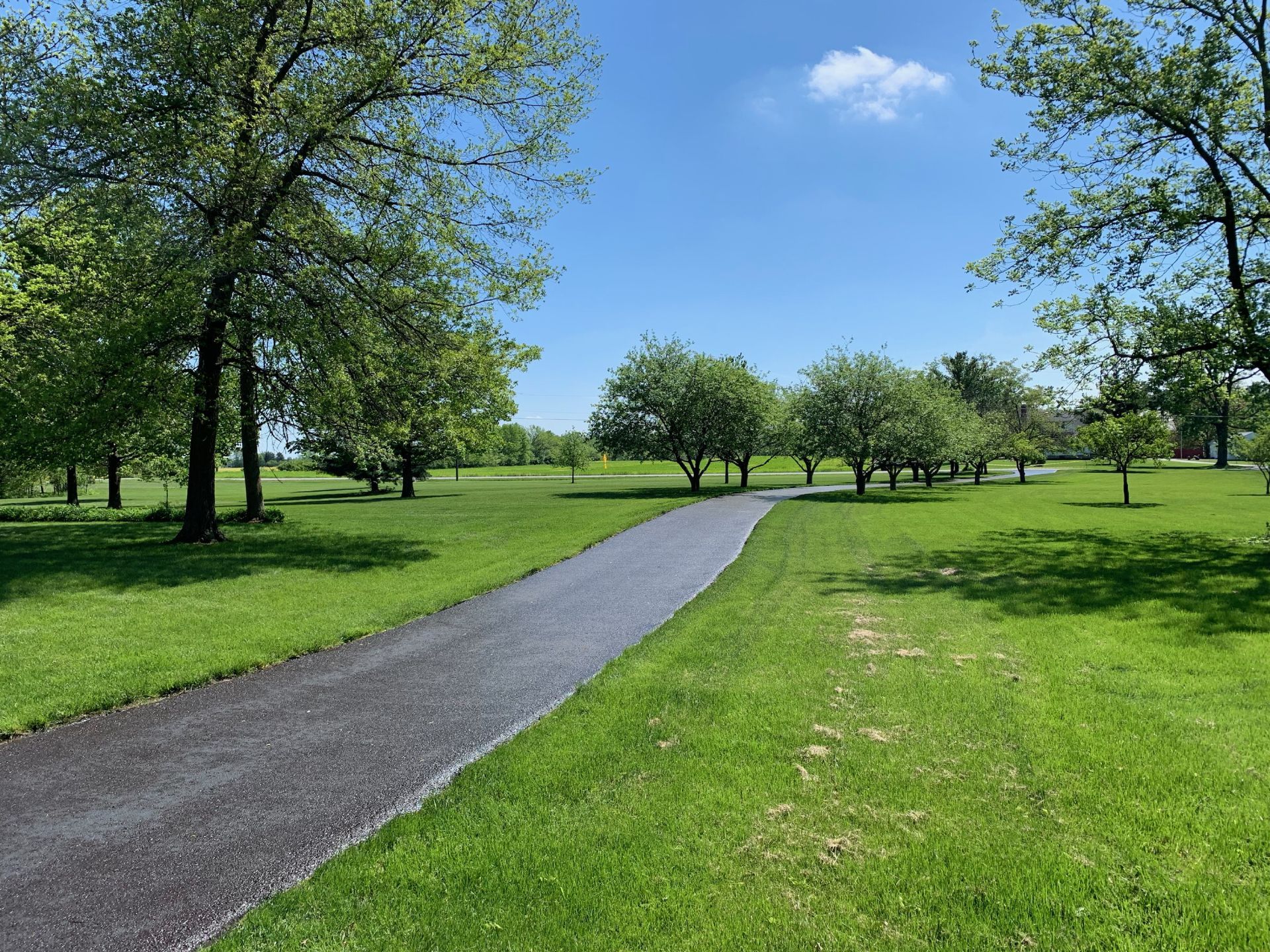 A paved path winds through a bright, grassy park with scattered trees under a clear blue sky.