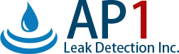 AP1 Leak Detection Inc - Logo