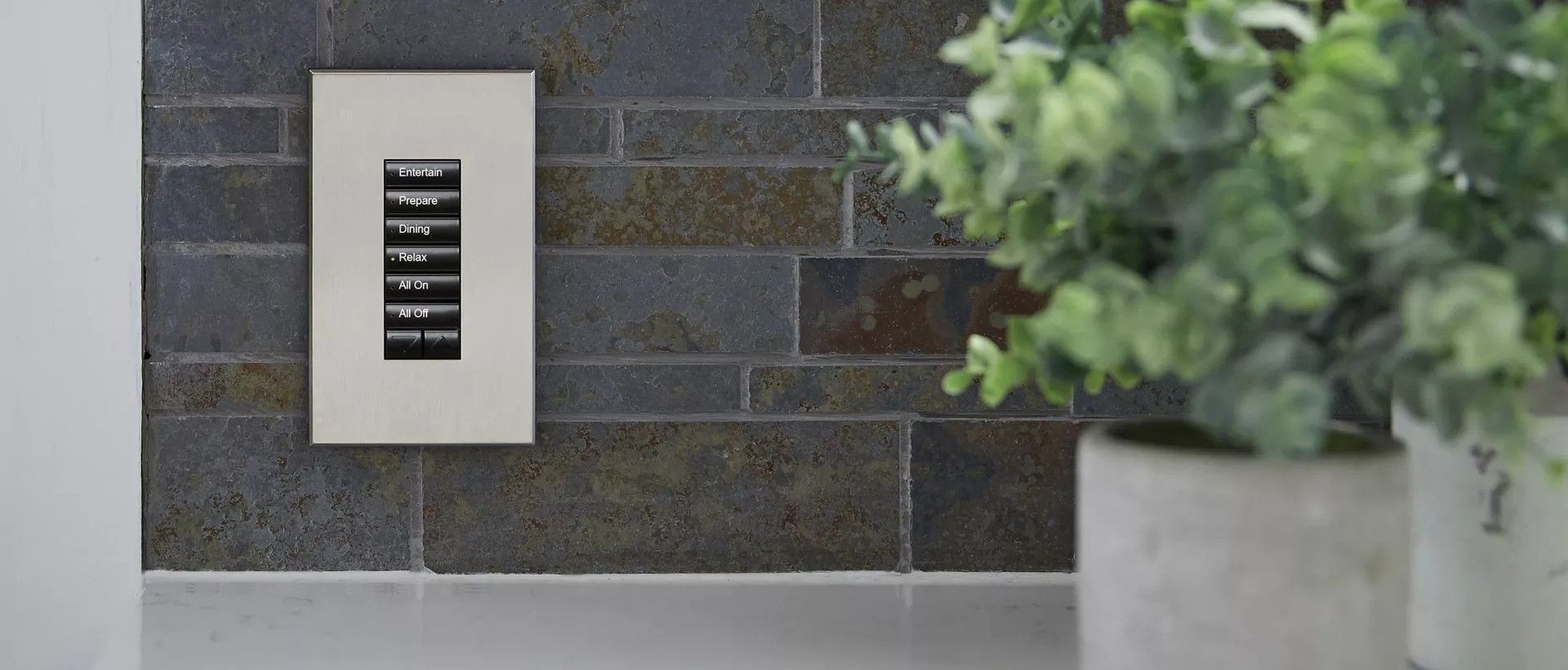 A plant is sitting next to a light switch on a brick wall