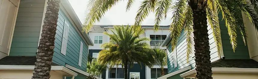 Buildings with teal siding seen through palm trees. Bright sunlight filters in from above.