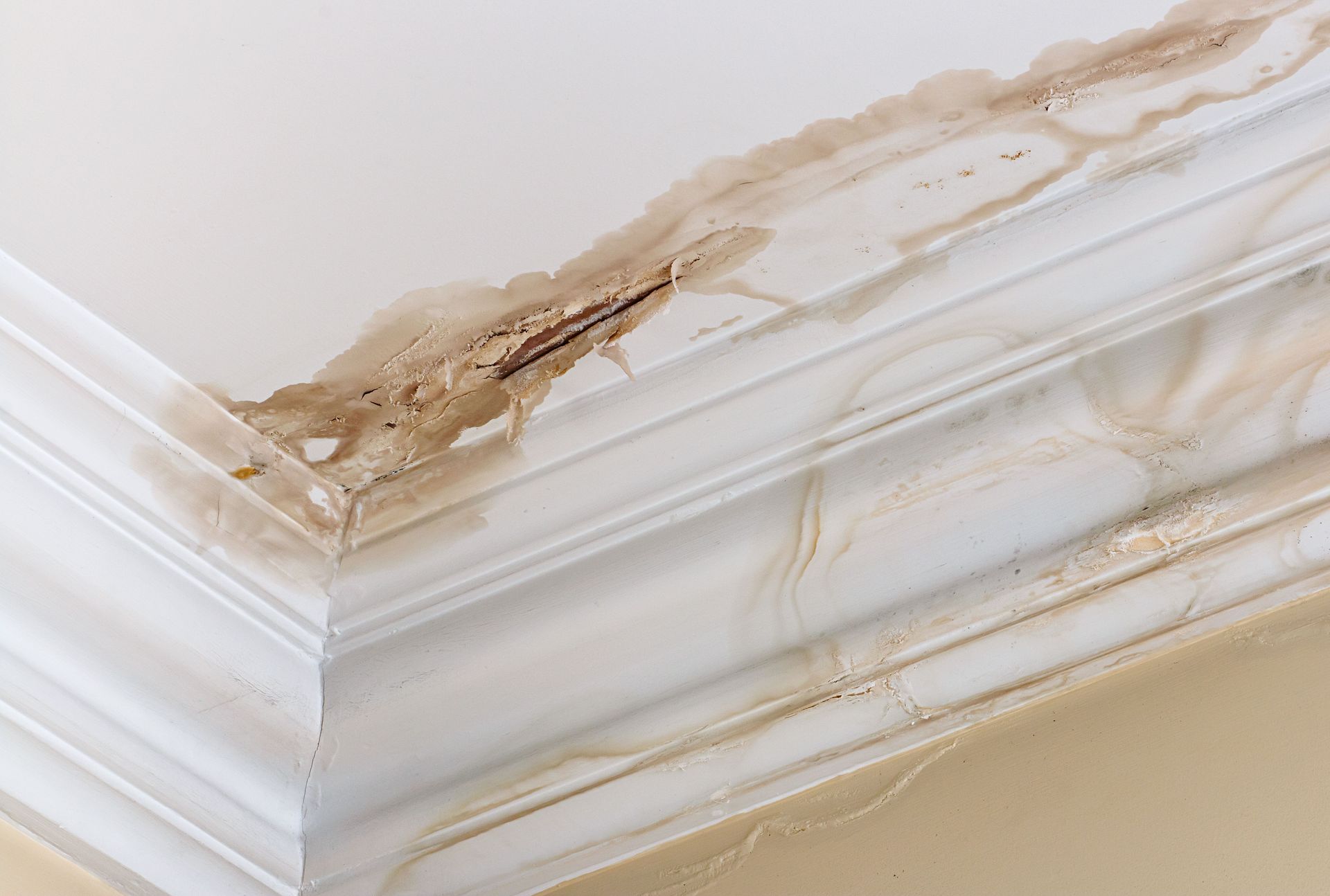 Water damage services